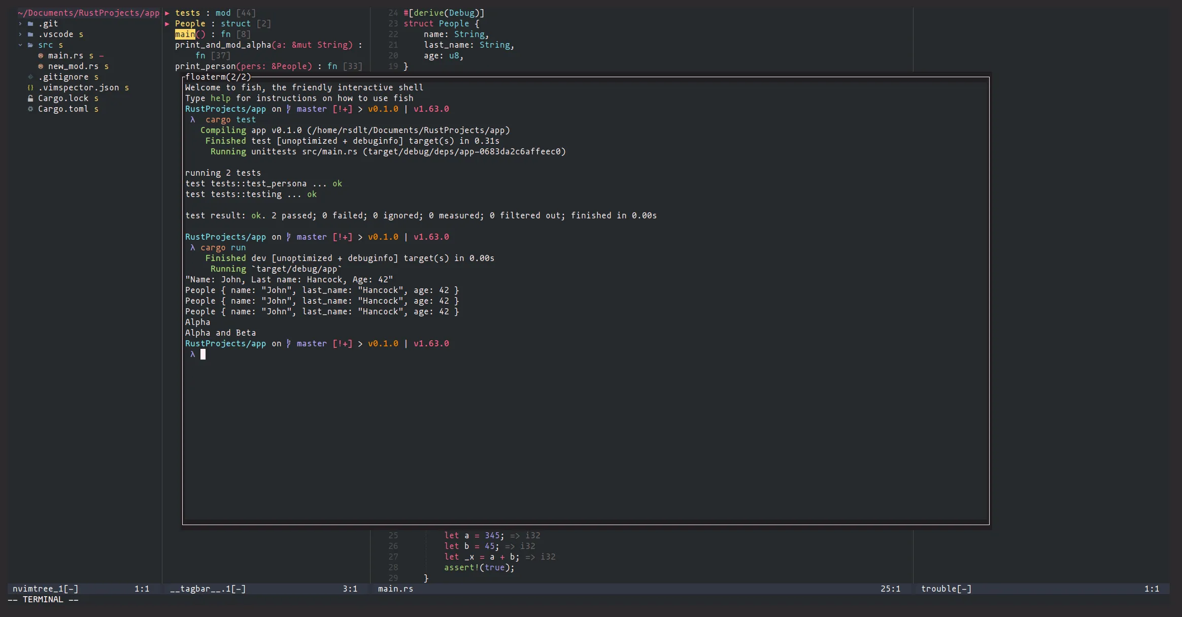 Rust development with Neovim and voldikss/vim-floaterm float terminal plugin